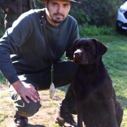 Labradorský retriever