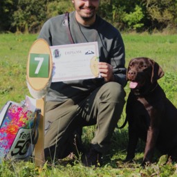 Labradorský retriever