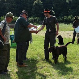 Labradorský retriever